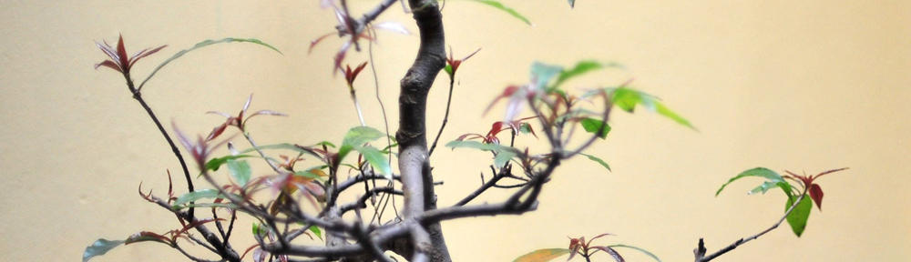 So Long and Thanks for the Fish